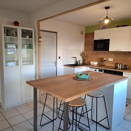 Joli Appt La Perouse, 2 Chbres, Centre Ville, Jardin Апартаменты Кастр