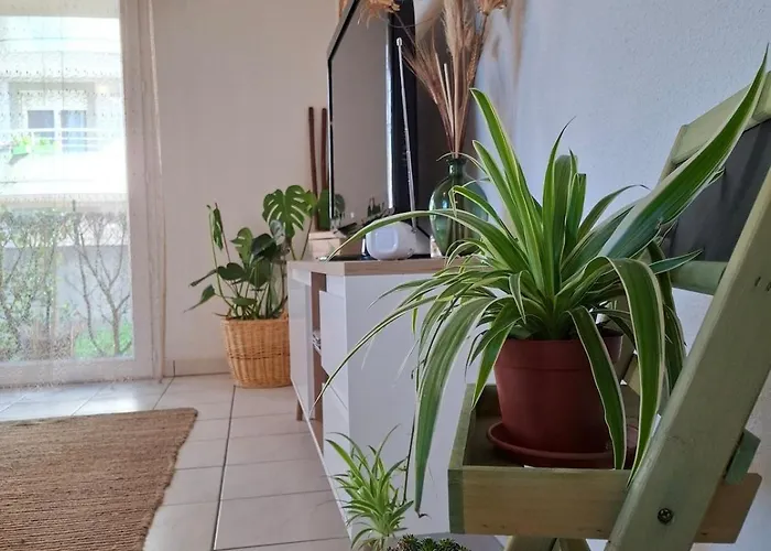 Διαμέρισμα Joli Appt La Perouse, 2 Chbres, Centre Ville, Jardin *