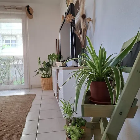 Joli Appt La Perouse, 2 Chbres, Centre Ville, Jardin